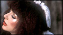 Kate Bush
